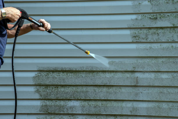Best Sign and Awning Cleaning  in Scottville, MI