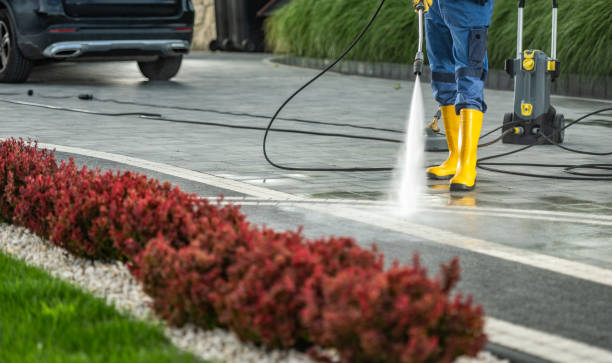 Best Rust Removal  in Scottville, MI
